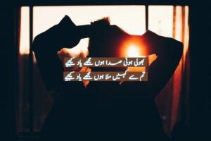 Bhuli hui sadā huun mujhe yaad kījiye