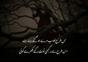 Jis Tarah Khawab Mere Ho Gaye Reza