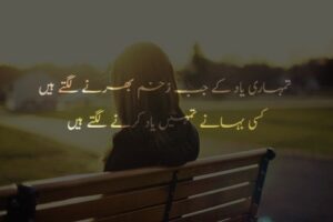 Tumhari yaad ke jab zakham bharne lagte hain