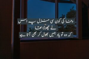 Wafa ki kaun si manzil pe us ne chhoda tha