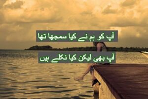 Ap k hum ne kia samjha tha