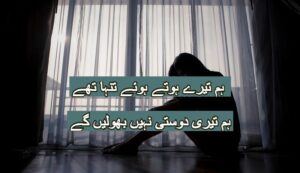 Hum tere hty howy tanha thy