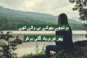 Hum tujhe bholne hi waly the