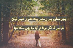Humy maloom hai raste bohat doshwar the lekin