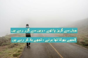 Jahan se guzeiz pa the wahi se guzar rahe hai