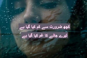 Kuch zaroorat se kam kia gaya hai