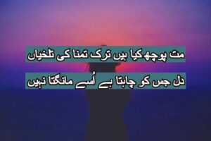 Mat poch kia hai tarke tamana ki talkhiyan
