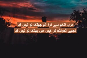 Meri ankh se tera ghum jhalak tu nahin gaya