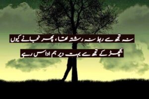 Na tujh se rabta rishta tha phir najany ku
