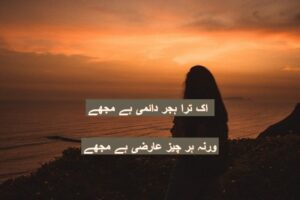 ik tira hijr daimi hai mujhe