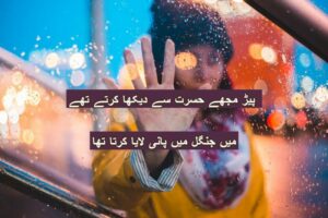 peḌ mujhe hasrat se dekha karte the