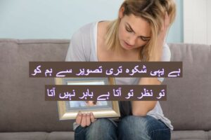 Hai yahi shikwa teri tasveer se hum ko