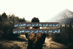 Tery bin teri yaad ke bin sab fazol hai