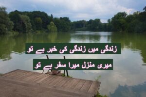 Zindagi mein zindagi ki khabar hai tu
