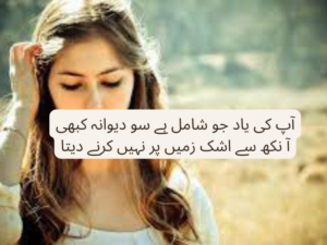 App ki yaad jo shamil hai so deewana kabhi