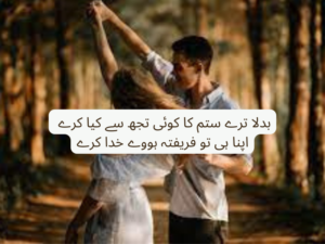Badla tery sitam ka koi tujh se kia kary 