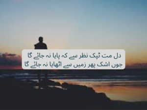 Dil mat tapak nazar se ke paya na jaye ga