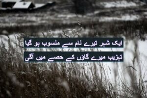Ek shaher tere naam se mansoob ho gaya 
