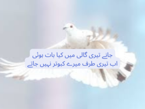 Jany teri gali mein kia baat hoi