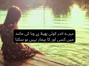 Mery andar koi pe=hela hai waba ki mannid