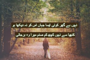 Nahi hai ghar koi esa jahan is ko na dekha ho 