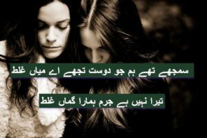 Samjhaty thy hum jo dost tujhe ae miya galat