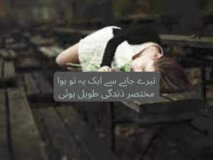 Tery jany se ek yeh tu hua