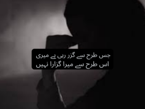 جس طرح سے گزر رہی ہے میری اس طرح سے میرا گزارا نہیں