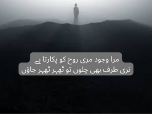 Mera wajood meri rooh k pokarty hai