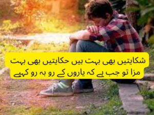 Shikayatein bhi bohat hai hakayatein bhi bohat