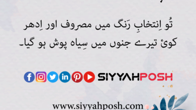 read best sad urdu poetry